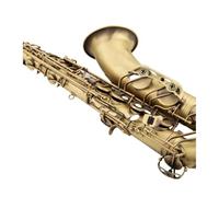 Saxofón Alto Professional Saxophone Sax Gold Lacquered Keys E Flat Alto 11 Reeds Case Many Extras(Canvas bag)