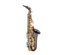 Saxofón Alto Prueba de interpretación profesional especial para principiantes de saxofón alto en mi bemol