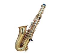 Saxofón alto SAS 802 Gold Professional 802 con estuche para boquilla y accesorios Saxofón Para Principiantes
