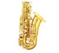 Saxofón Alto Saxofón alto con doble llave y llave de perla en mi bemol para principiantes y adultos para tocar en el examen