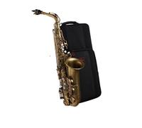 Saxofón Alto Saxofón alto doble reforzado en mi bemol para principiantes(Vintage bronze)