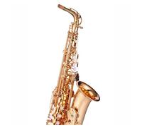 Saxofón Alto Saxofón alto dorado Instrumento Principiante Profesional Adulto Mi bemol Aguja azul Lengüeta