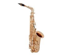 Saxofón Alto Saxofón alto en mi bemol con llave de doble acanaladura saxofón profesional instrumento de viento para principiantes
