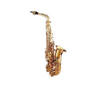 Saxofón Alto Saxofón alto en mi bemol edición profesional teclas de carcasa blanca instrumento musical para adultos