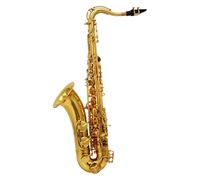 Saxofón Alto Saxofón alto en mi bemol, instrumento de viento, modelo de prueba de rendimiento profesional para principiantes adultos