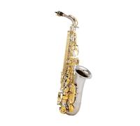 Saxofón Alto Saxofón alto en mi bemol instrumento de viento para principiantes adultos grado de rendimiento profesional conjunto completo de accesorios(Silve)