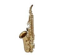 Saxofón Alto Saxofón alto en mi bemol Instrumento para principiantes Examen de interpretación profesional No es fácil de desvanecer
