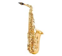 Saxofón Alto Saxofón alto en mi bemol latón lacado en oro saxofón en mi bemol tipo llave instrumento de viento de madera(Gold)