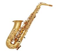 Saxofón Alto Saxofón alto en mi bemol para principiantes nivel adulto prueba estilo de instrumento