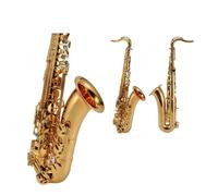 Saxofón Alto Saxofón Alto-Golden AltoTenor Si bemol Adulto Nivel de rendimiento profesional