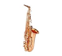 Saxofón Alto Saxofón Alto Instrumento Para Principiantes Y Adultos En Mi Bemol Profesional Hermeticidad