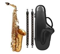 Saxofón Alto Saxofón alto Mi bemol Pintura dorada Saxofón alto para principiantes Juego completo con saxofón portátil