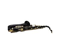 Saxofón Alto Saxofón alto negro en mi bemol, instrumento musical profesional con estuche y accesorios
