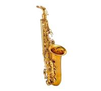 Saxofón Alto Saxofón alto Saxofón en mi bemol Instrumento de viento Nivel de interpretación principiante Doble costilla Boca grande
