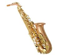 Saxofón Alto Saxofón de bronce fosforoso para adultos Saxofón profesional