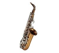 Saxofón Alto Saxofón Instrumento Alto Mi bemol Principiante Instrumento de viento Interpretación profesional