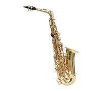 Saxofón Alto Saxofón Principiante Saxofón alto en mi bemol Instrumento Examen de ingreso para principiantes Saxofón