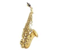 Saxofón Alto Saxofón soprano de latón con patrón tallado dorado botones de concha de color perlado boquilla lengüetas cuello accesorios para instrumentos de viento(Gold Silver)