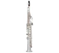 Saxofón Alto Saxofón soprano recto en si bemol de latón instrumento de viento de madera patrón de llave tallada de concha natural(Silver)