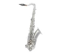 Saxofón Alto Saxofón Tenor De Latón Instrumento Profesional Para Saxofón En Si Bemol Con Paño De Limpieza Guante Lengüeta Trasera Boquilla Y Accesorios(Silver)