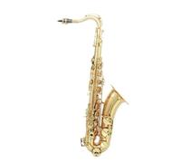 Saxofón Alto Saxofón tenor en si bemol profesional de latón lacado en oro instrumento musical de viento de madera(Style 3 set)