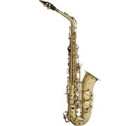 Saxofón Antiguo, En Funda Blanda, WS-AS215S