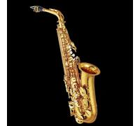 Saxofón De Latón Saxofón Alto Profesional Serie Saxofón Alto Lacado Dorado Con Estuche Para Tudel De Cañas