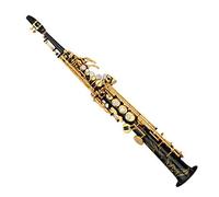 Saxofón De Tono Alto Recto De Latón Bb B Saxofón Plano Instrumento De Viento Teclas De Concha Natural Patrón Tallado Saxofón para estudiantes (Color : 02)