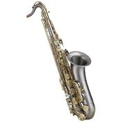 Saxofón Examen De Desempeño Profesional Para Principiantes Del Instrumento Saxofón Tenor En Si Bemol
