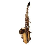 Saxofón Instrumento Musical Pequeño Saxophone Adulto Examen Profesional Tocando Si Bemol Saxofón