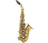 Saxofón Latón Oro Talle Patrón Sax Perla Blanco Botones Botones Boquilla Cuero Cuello Instrumento Viento
