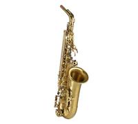 Saxofón Mi Bemol Alto Saxofón Adulto Actuación Profesional Instrumento Musical