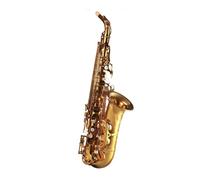 Saxofón Para Principiantes Instrumento De Saxofón Alto En Mi Bemol