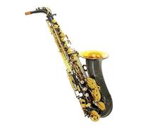 Saxofón Para Principiantes Saxofón Alto De Aleación De Plata Y Níquel Negro Alto Instrumento De Latón Con Accesorios Para Cajas Artista Profesional Principiante(B)