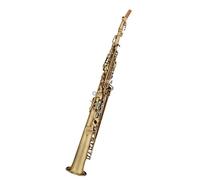 saxofón principiante Examen De Desempeño Profesional Para Principiantes Del Instrumento De Saxofón Recto En Si Bemol Y Agudos