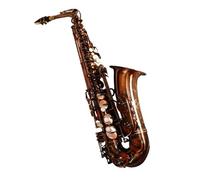 saxofón principiante Saxofón Alto Mi Bemol Enseñanza Saxofón Avanzado Bronce Rojo