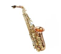 saxofón principiante Saxofón Mi Bemol Alto Maestro Instrumento De Rendimiento Bronce Fósforo Doble Color Configuración De Doble Costilla