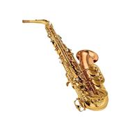 Saxofón Profesional Amantes De La Música Saxofón Alto Eb Tune Instrumento Musical De Latón Saxofón Lacado En Oro Con Estuche Accesorios Para Instrumentos Musicales(B)