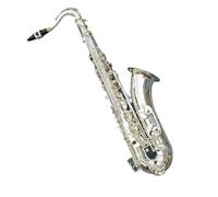 Saxofón Profesional Bb Saxofón Tenor Profesional Tono De Calidad Profesional Instrumento Plateado Adecuado Para Principiantes Y Adultos(A)