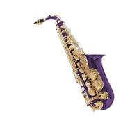 Saxofón Profesional Eb Saxofón Alto Práctica Profesional Para Principiantes Y Adultos Con Accesorios Para Instrumentos Púrpura E Instrumentos Musicales Planos