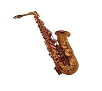 Saxofón Profesional Instrumento De Saxofón Alto E-plano Banda De Examen De Grado Principiante Rendimiento Profesional Con Accesorios De Instrumentos