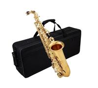 Saxofón Profesional Instrumento De Saxofón Alto Plano E Instrumento De Saxofón De Prueba De Grado Adulto Principiante Con Bolsa