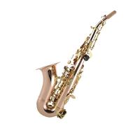 Saxofón Profesional Instrumento De Saxofón Curvo Pequeño En Si Bemol De Tono Alto Bronce Fosforado Adecuado Para Principiantes Y Profesionales