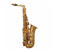 Saxofón Profesional Instrumento de saxofón Saxofón en mi bemol Calificación para adultos Rendimiento profesional Saxofón alto