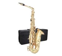 Saxofón Profesional Kit Para Principiantes De Saxofón Alto Lacado Dorado Con Estuche Cañas Paño Suave Y Guantes Para Caña Color Negro(Gold)