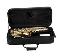 Saxofón Profesional Mi Bemol Alto Saxofón Latón Dorado Lacado Profesional Principiante Adulto Práctica Instrumento De Rendimiento