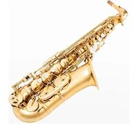 Saxofón Profesional Profesional Para Amantes De La Música Saxofón Dorado Eb Instrumento De Saxofón Alto Con Accesorios Especiales(Gold)