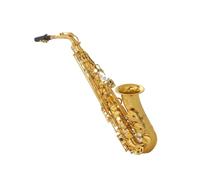 Saxofón Profesional Saxofón alto 875EX en mi bemol. Estuche de instrumento chapado en oro. Accesorios incluidos.