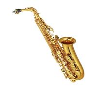 Saxofón Profesional Saxofón Alto E Saxofón Instrumento Musical Con Estuche Todos Los AccesoriosInstrumentos Musicales Profesionales Para Principiantes Y Adultos(A)