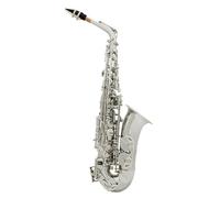Saxofón Profesional Saxofón Alto Eb Cuerpo De Latón Plano En Mi Plateado Botón De Concha Blanca Tallada Saxofón Con Funda Correa Guantes Juego De Accesorios De Lengüetas(A)